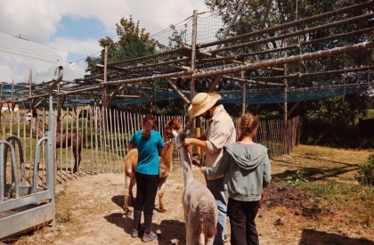 Alpacawandeling 🦙